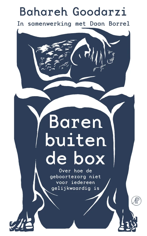 Baren buiten de box – Bahareh Goodarzi – boek cover
