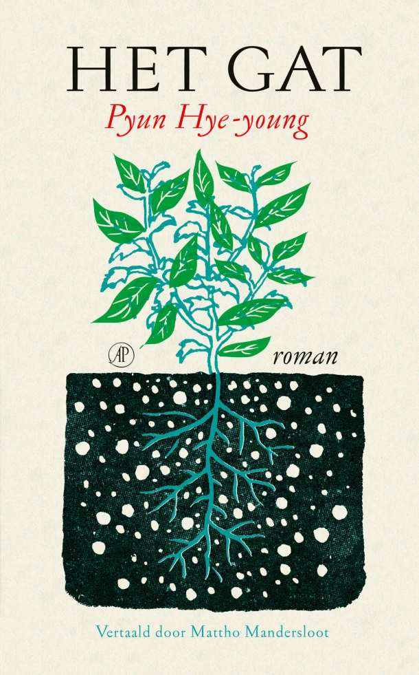 Het gat – Pyun Hye-young – boek cover