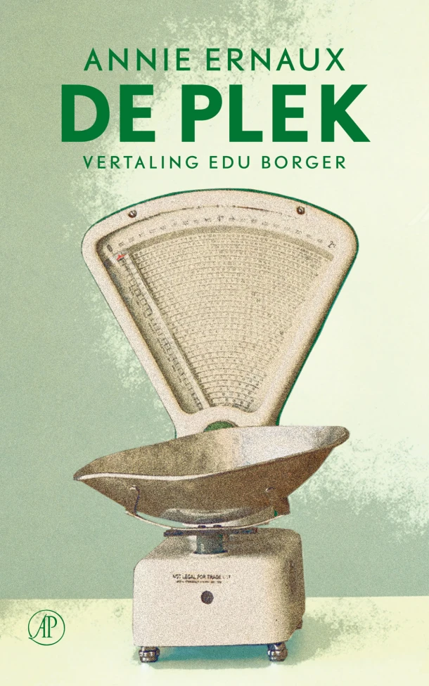 De plek – Annie Ernaux – boek cover
