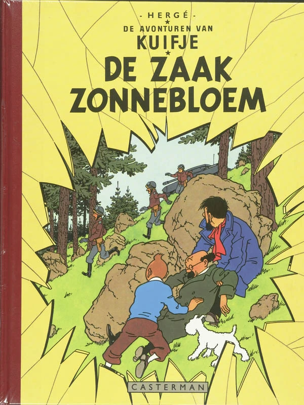 De zaak Zonnebloem – H. Herge – boek cover