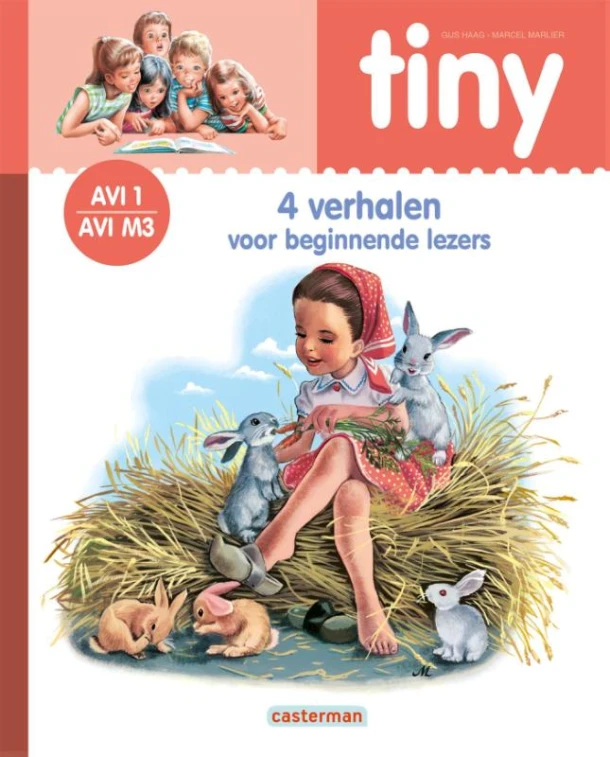 Tiny AVI1/AVI M3 – Gijs Haag – boek cover