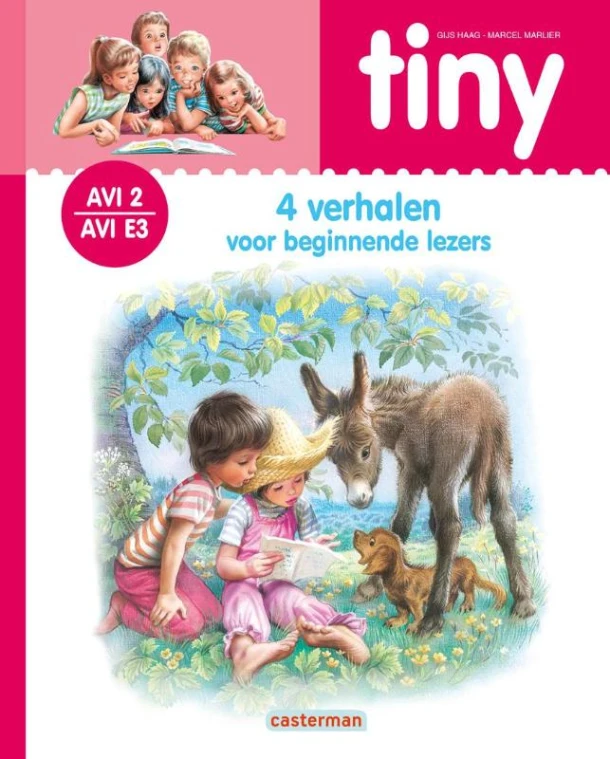 AVI 2 - E3 – Gijs Haag – boek cover