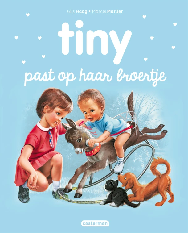 Tiny past op haar broertje ā Gijs Haag ā boek cover