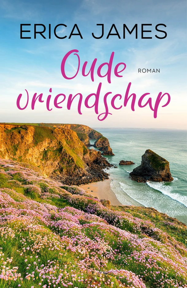 Oude vriendschap – Erica James – boek cover