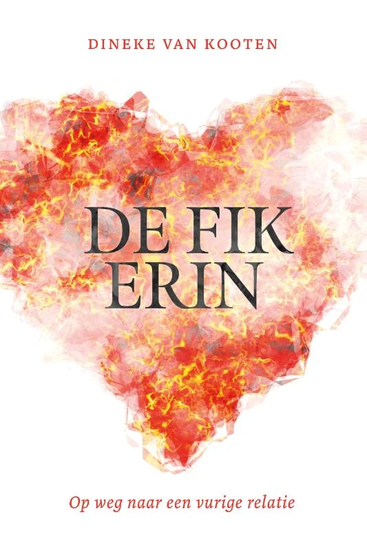 De fik erin – Dineke van Kooten – boek cover