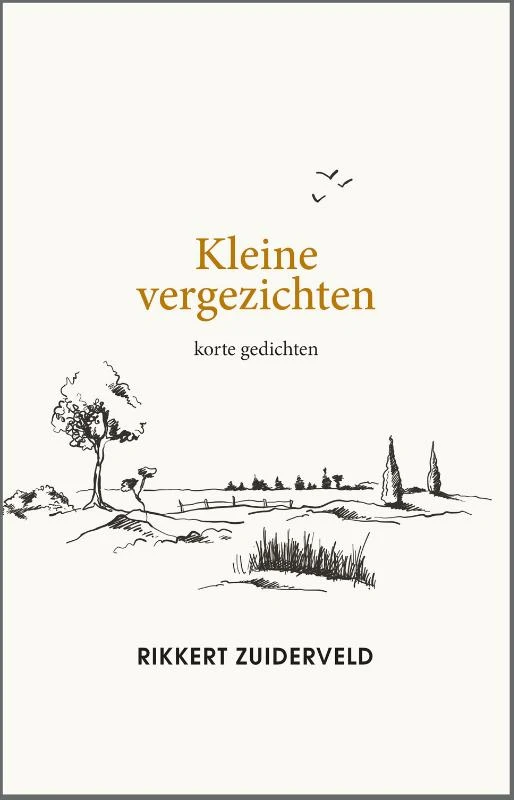 Kleine vergezichten – Rikkert Zuiderveld – boek cover