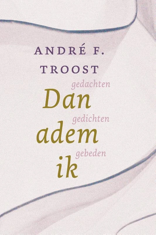 Dan adem ik – Andr¿ F. Troost – boek cover