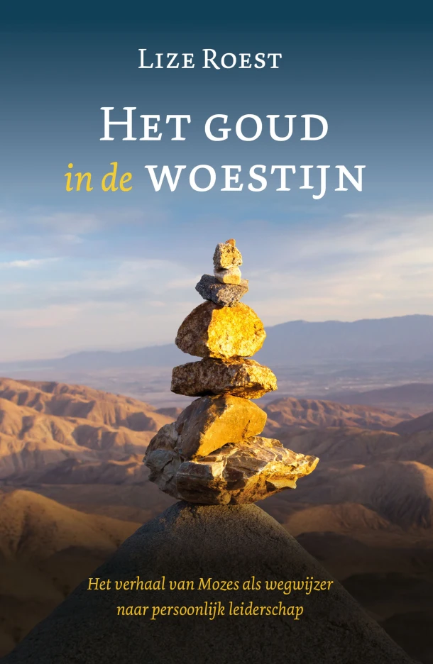 Het goud in de woestijn – Lize Roest – boek cover