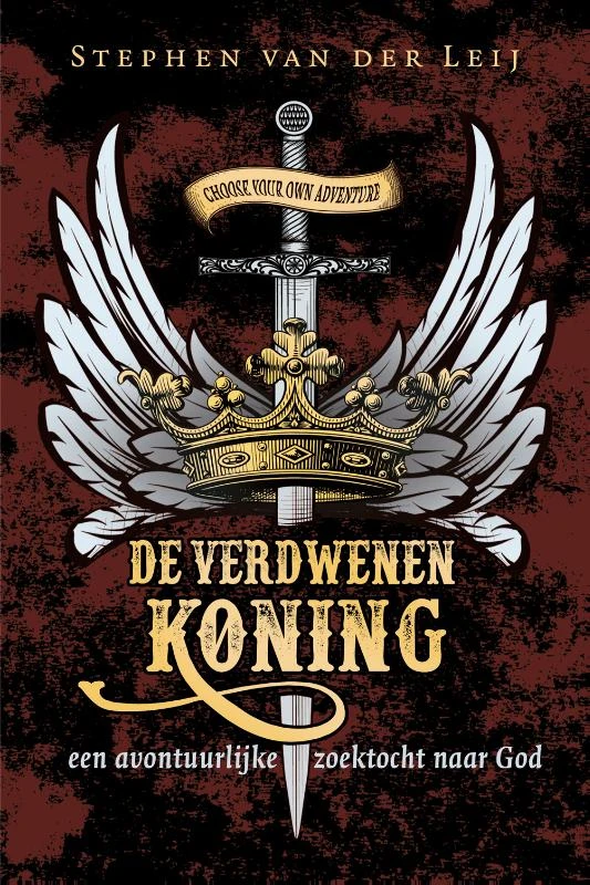 De verdwenen koning – Stephen van der Leij – boek cover