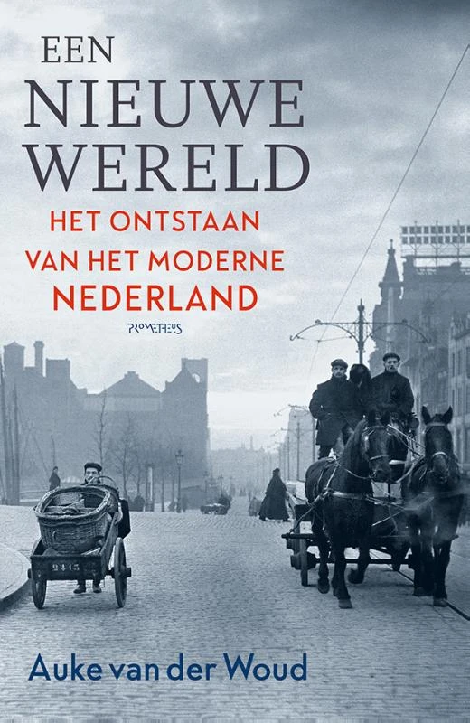 Een nieuwe wereld – Auke van der Woud – boek cover