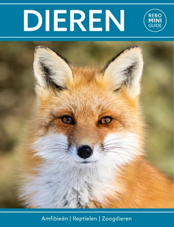 Rebo mini guide - Dieren – Marianne Taylor – boek cover