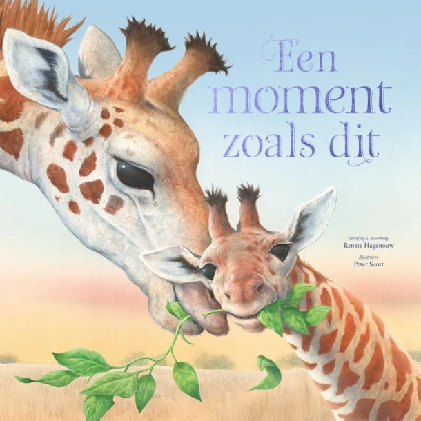 Een moment zoals dit – Ronne Randall – boek cover