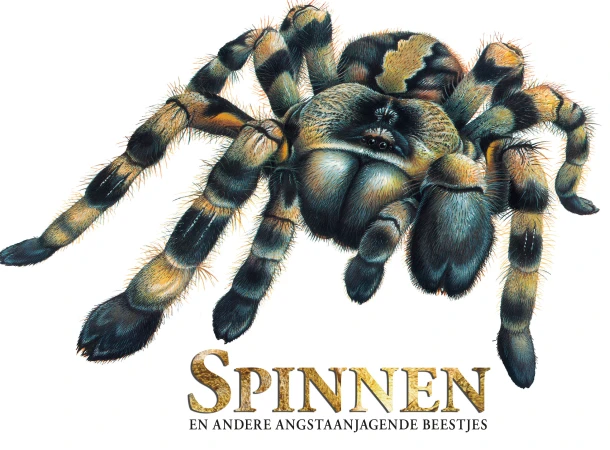 Spinnen en andere angstaanjagende beestjes – Claudia Martin – boek cover