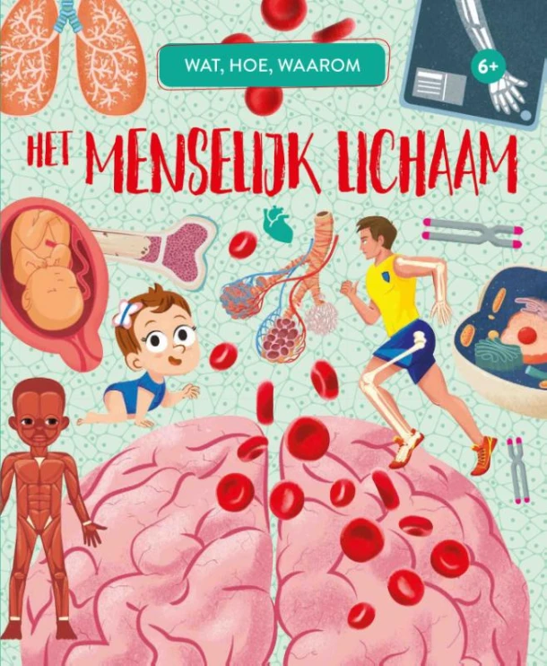 Het menselijk lichaam – Jaap Verschoor – boek cover