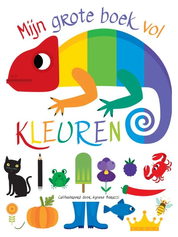 Mijn grote boek vol kleuren – Agnese Baruzzi – boek cover