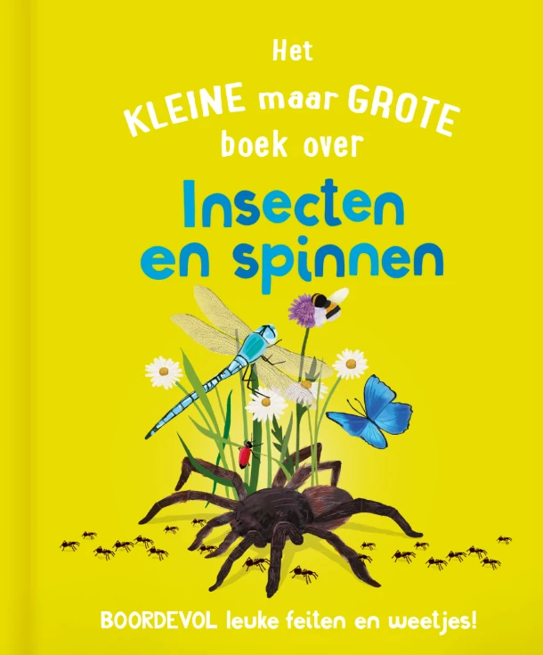 Het kleine maar grote boek over insecten en spinnen – Catherine Brereton – boek cover
