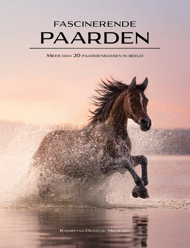 Fascinerende paarden – Lisanne Thomas – boek cover