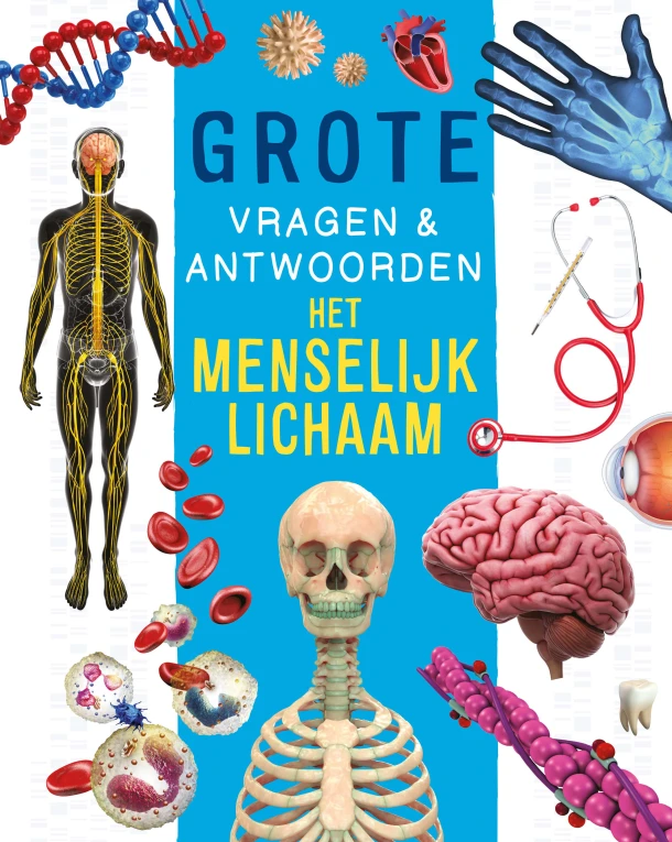 Het menselijk lichaam - Grote vragen & antwoorden – Nicola Deschamps – boek cover