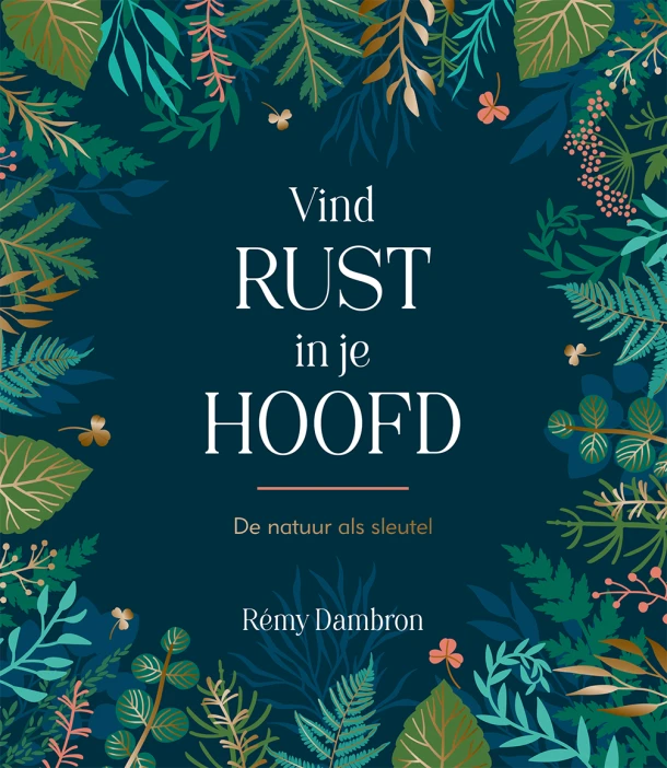 Vind rust in je hoofd – Rémy Dambron – boek cover