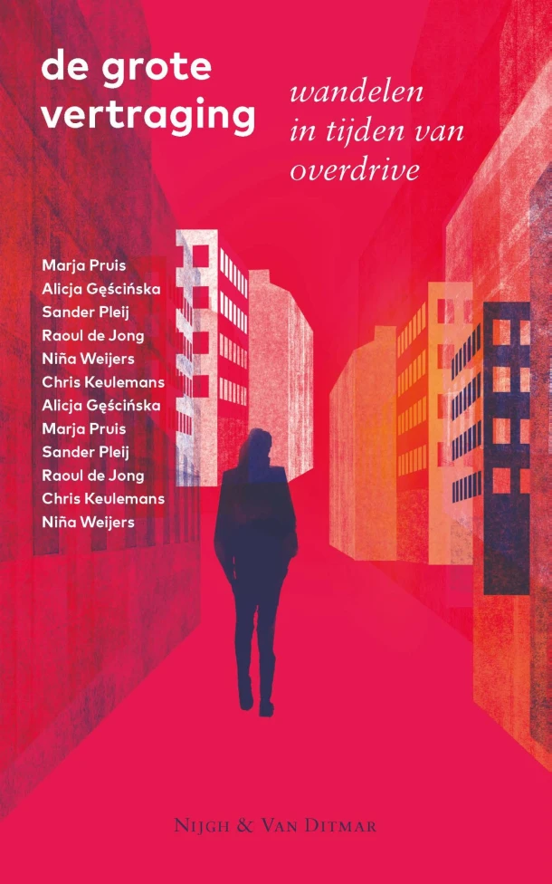 De grote vertraging – boek cover