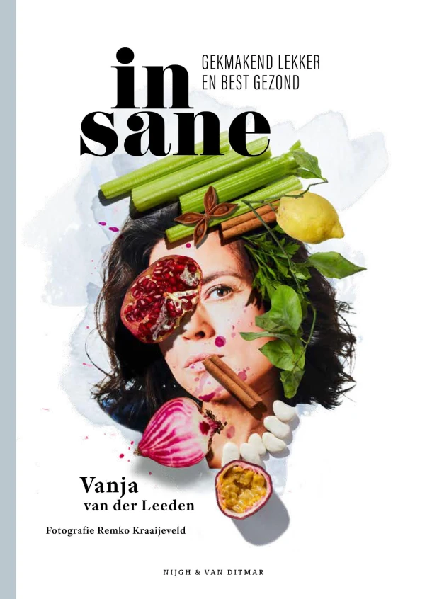 Insane – Vanja van der Leeden – boek cover