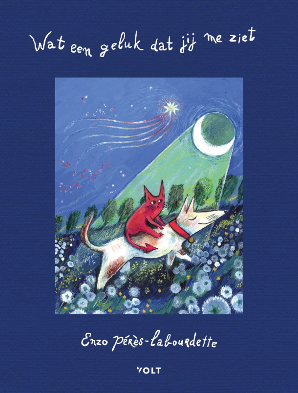Wat een geluk dat jij me ziet – Enzo Pérès-Labourdette – boek cover