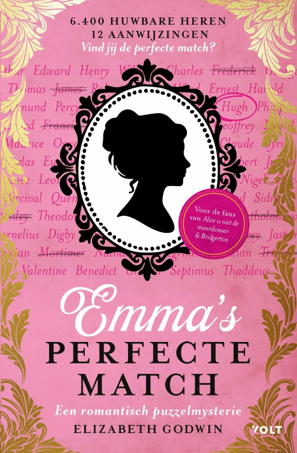 Emma's perfecte match – Elizabeth Godwin – boek cover
