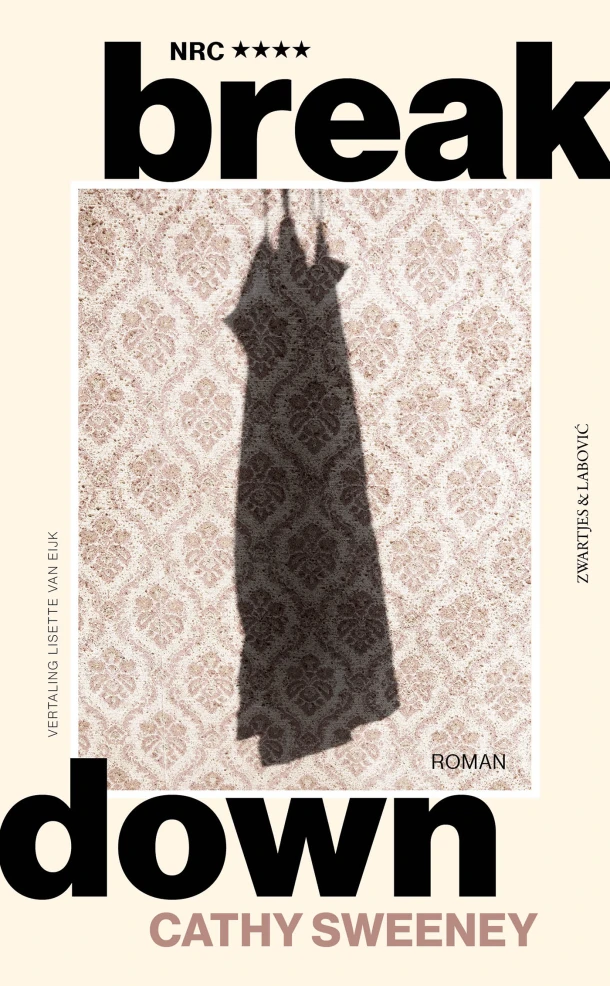 Breakdown – Cathy Sweeney – boek cover