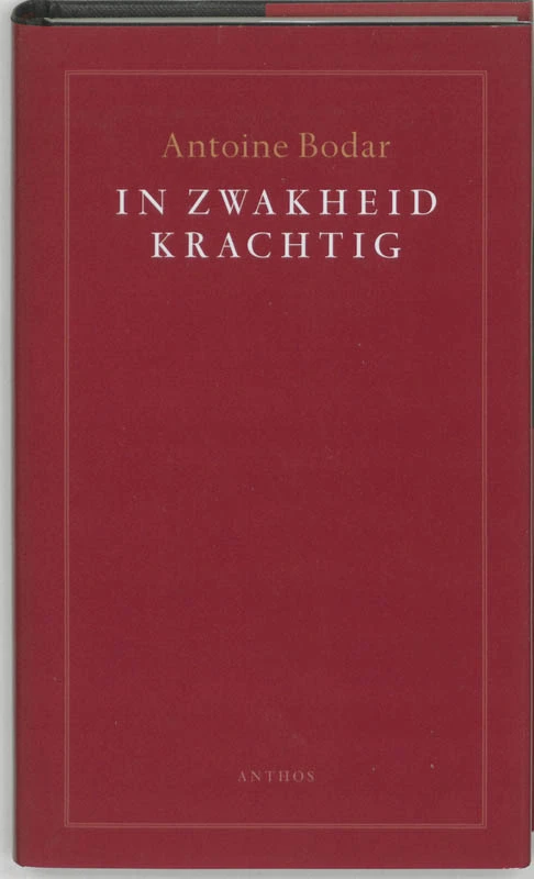 In zwakheid krachtig – Antoine Bodar – boek cover