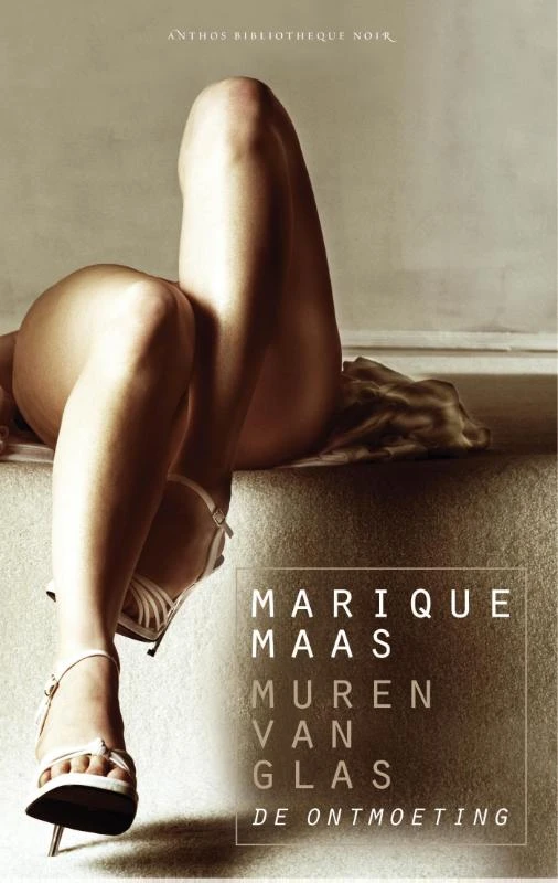 De ontmoeting – Marique Maas – boek cover
