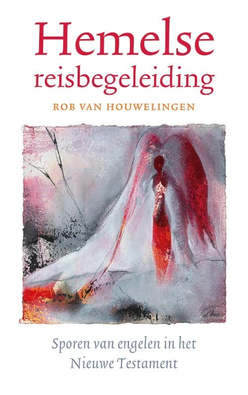 Hemelse reisbegeleiding – Rob van Houwelingen – boek cover