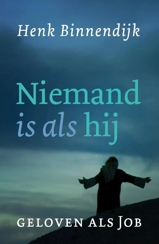 Niemand is als hij – Henk Binnendijk – boek cover