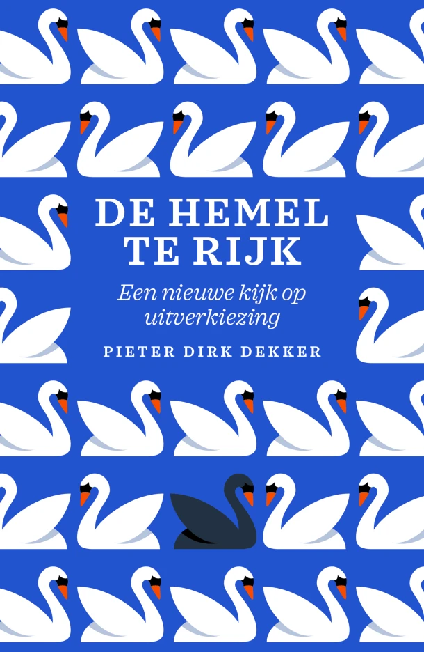 De hemel te rijk – Pieter Dirk Dekker – boek cover