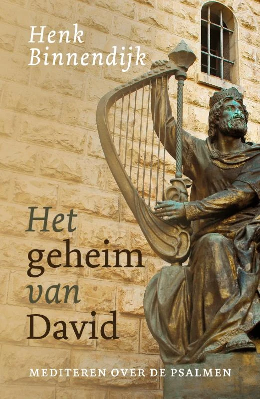 Het geheim van David – Henk Binnendijk – boek cover