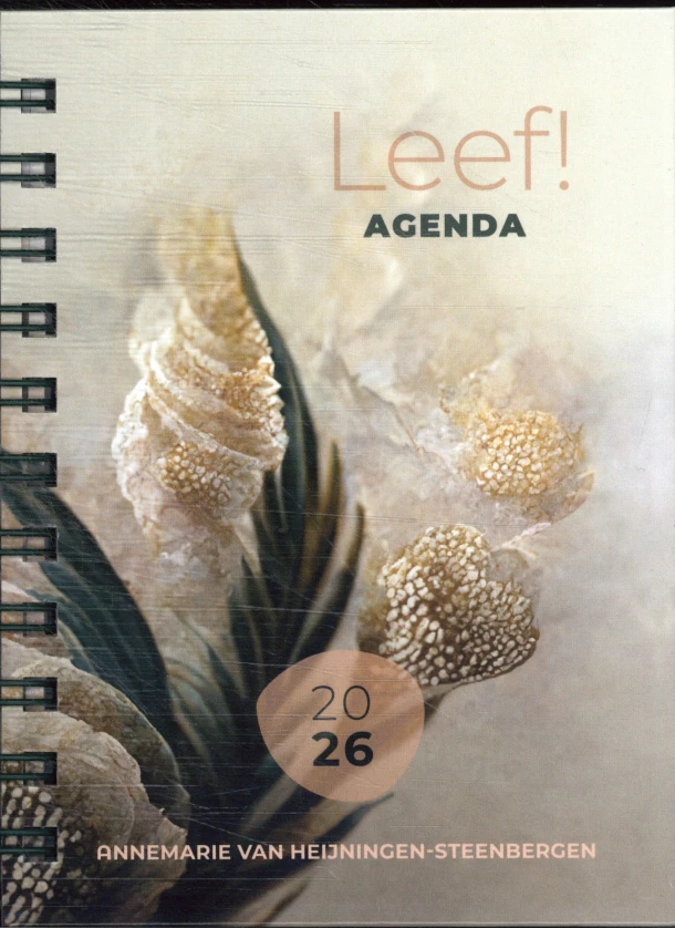 2026 – Annemarie van Heijningen – boek cover