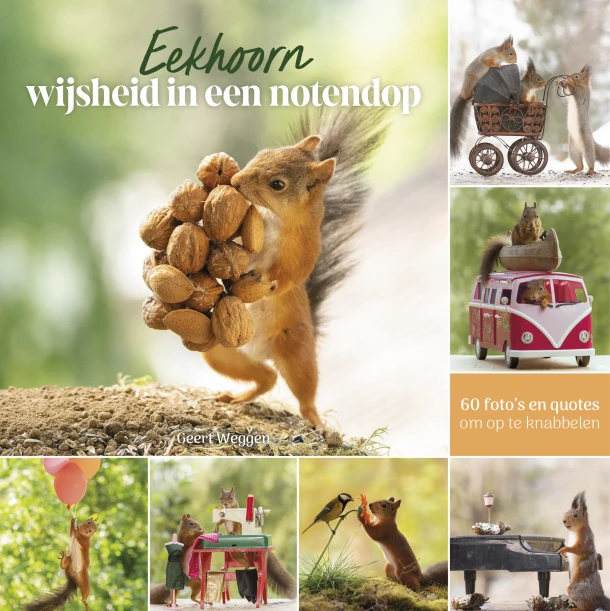Eekhoorn wijsheid in een notendop – Geert Weggen – boek cover