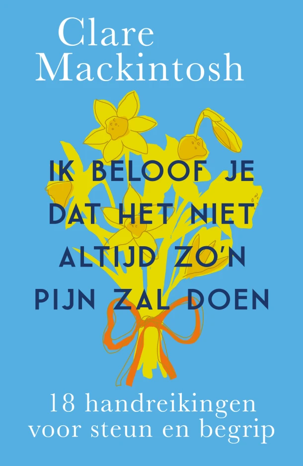 Ik beloof je dat het niet altijd zo'n pijn zal doen – Clare Mackintosh – boek cover