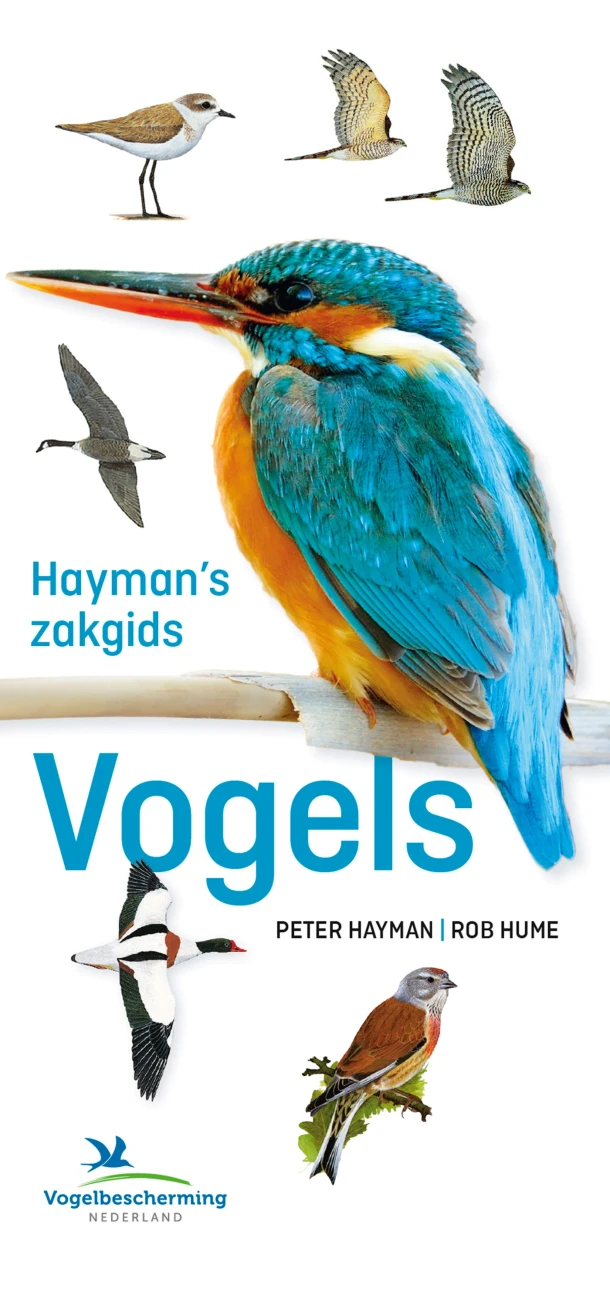 Hayman's zakgids Vogels – Peter Hayman – boek cover