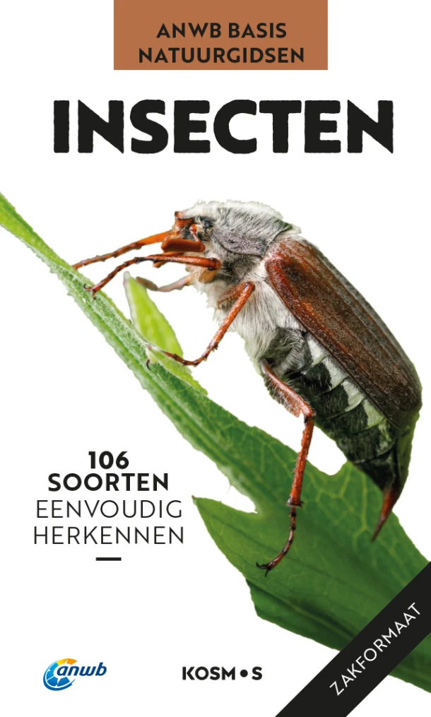 ANWB Basis natuurgids - Insecten – Roland Gerstmeier – boek cover