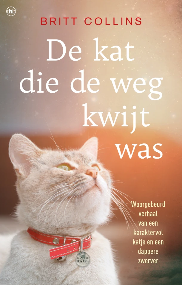 De kat die de weg kwijt was – Britt Collins – boek cover