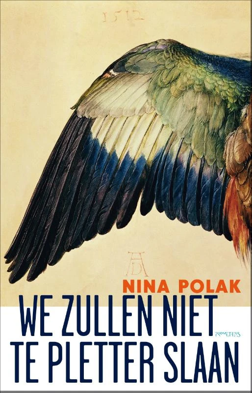 We zullen niet te pletter slaan – Nina Polak – boek cover