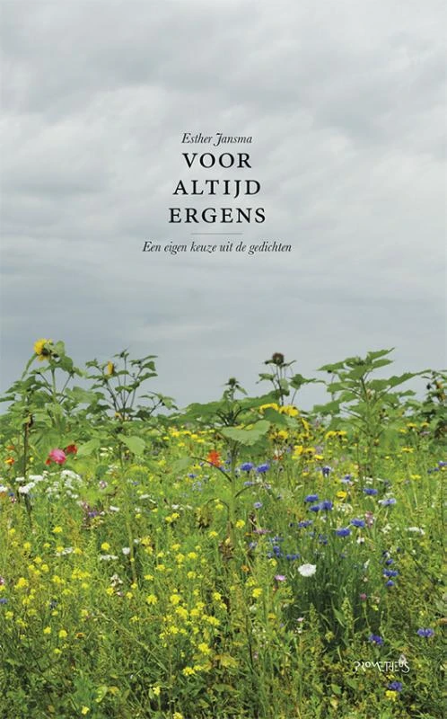Voor altijd ergens – Esther Jansma – boek cover