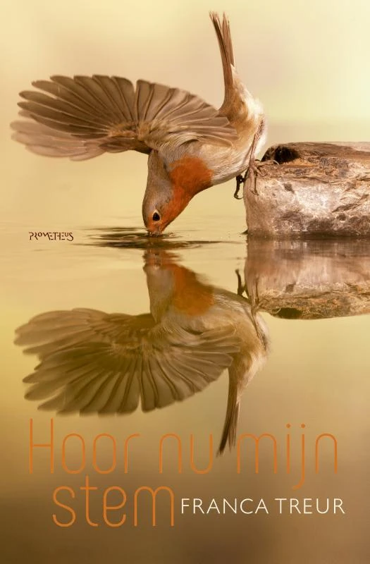 Hoor nu mijn stem – Franca Treur – boek cover