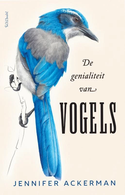 De genialiteit van vogels – Jennifer Ackerman – boek cover
