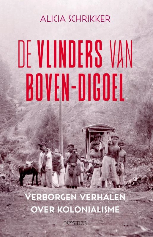 De vlinders van Boven-Digoel – Alicia Schrikker – boek cover