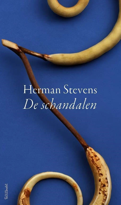 De schandalen – Herman Stevens – boek cover