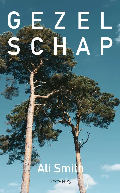 Gezelschap – Ali Smith – boek cover
