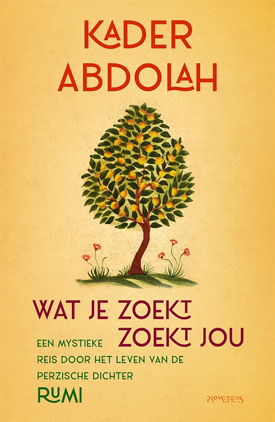 Wat je zoekt, zoekt jou – Kader Abdolah – boek cover