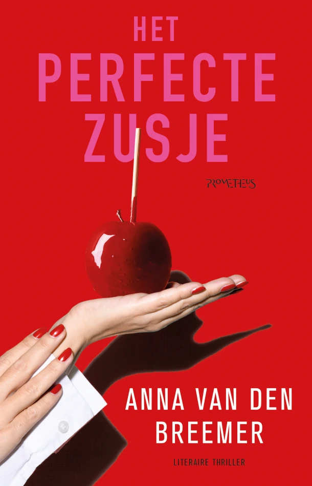 Het perfecte zusje – Anna van den Breemer – boek cover