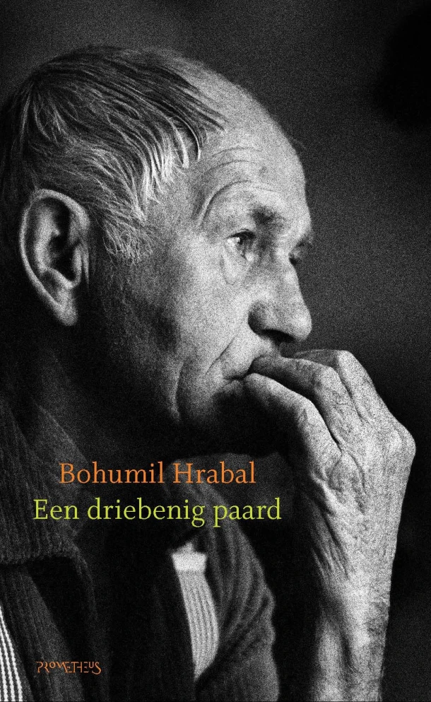 Een driebenig paard – Bohumil Hrabal – boek cover